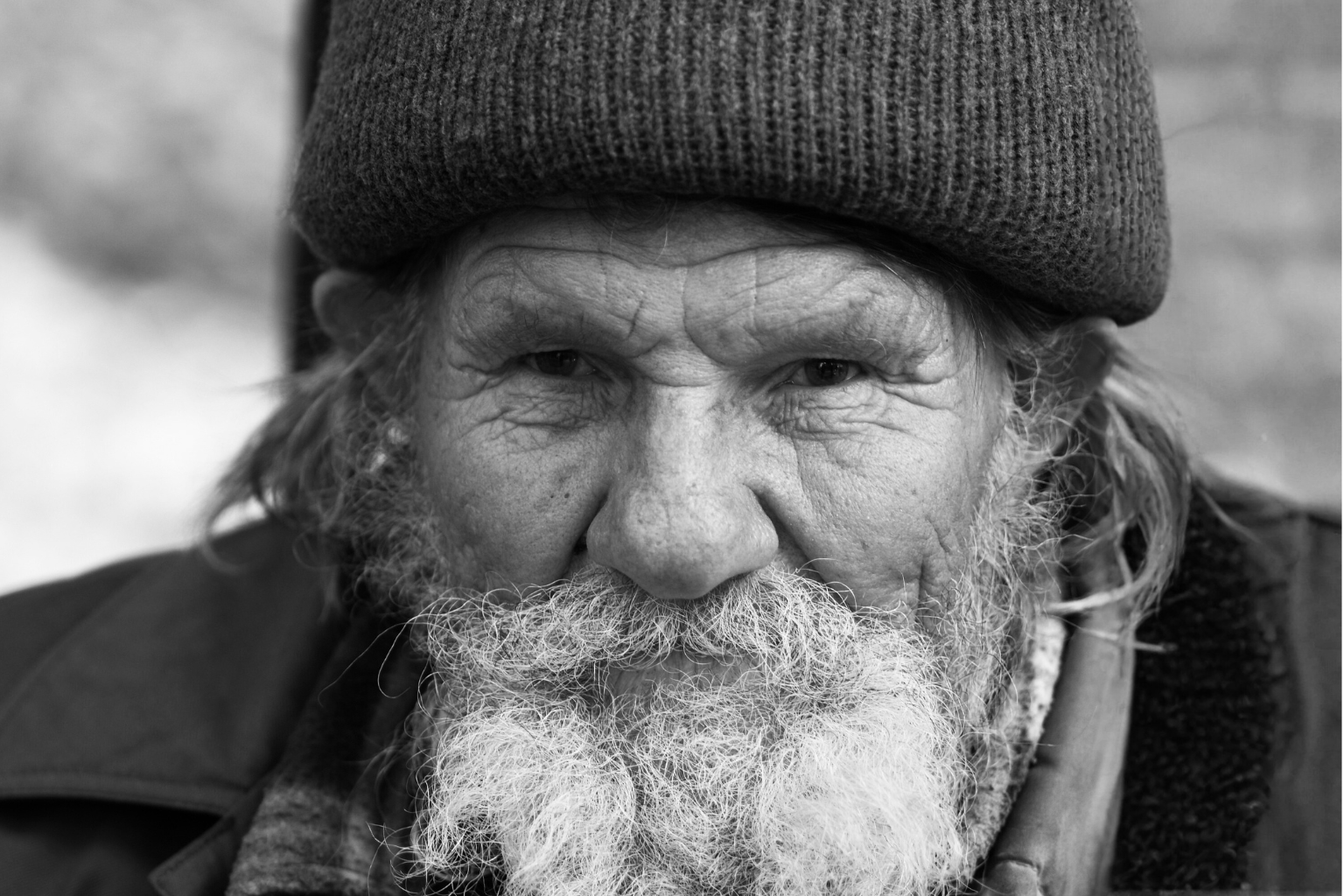 Warren, Dinner Service Client